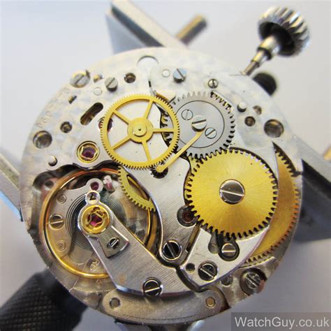 rolex movements on watches